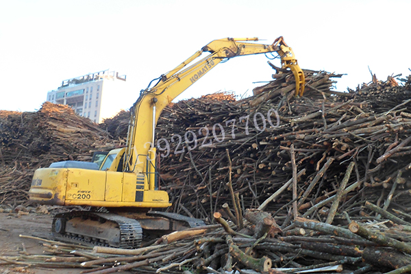 1635909091196973.jpg 1635909091196973.jpg